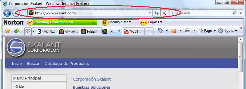 URL en Internet Explorer. URL en Internet Explorer